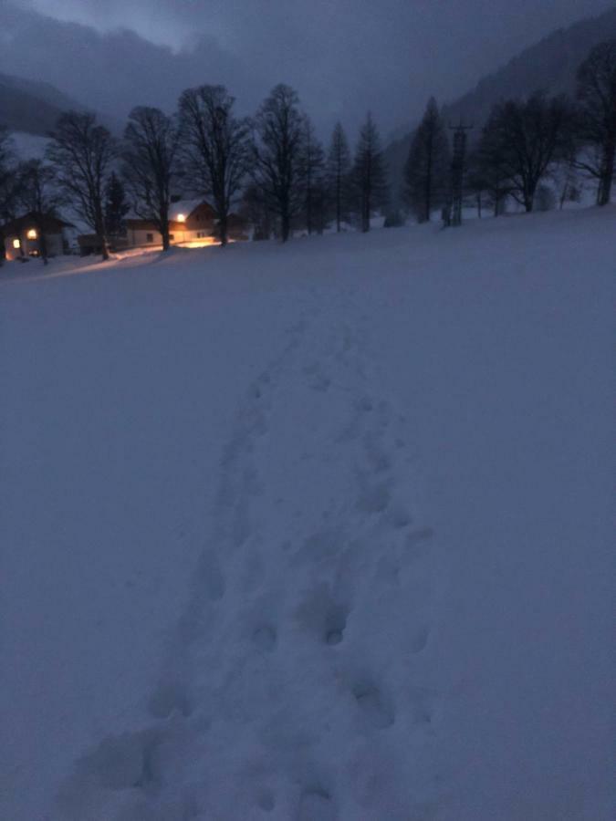 Haus Am Berg Διαμέρισμα Ramsau am Dachstein Εξωτερικό φωτογραφία